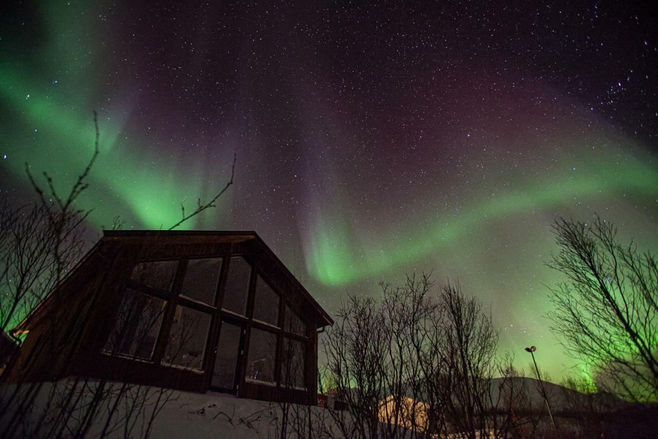 Aurora View Cabin Lyngseidet Exterior foto