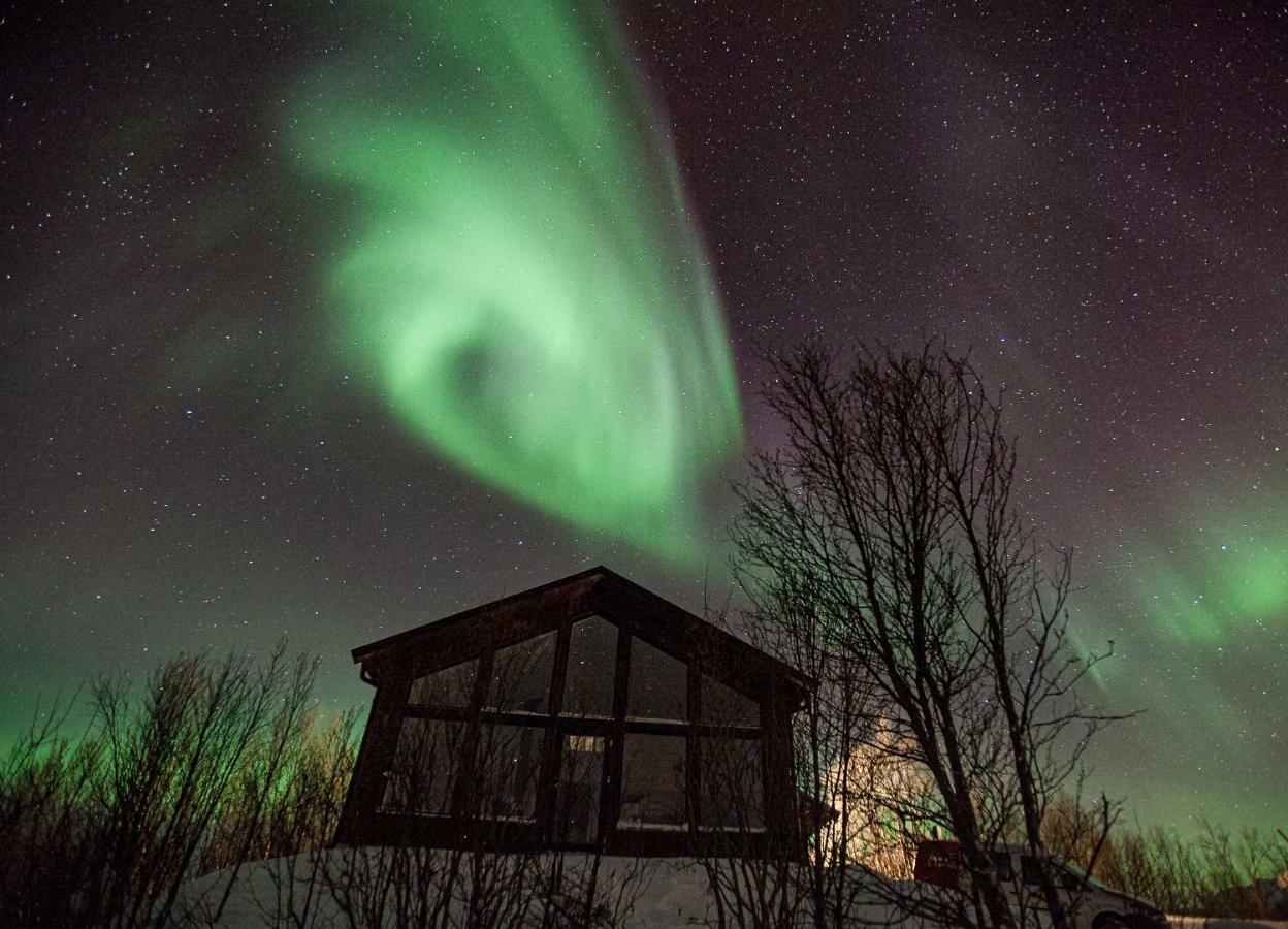 Aurora View Cabin Lyngseidet Exterior foto